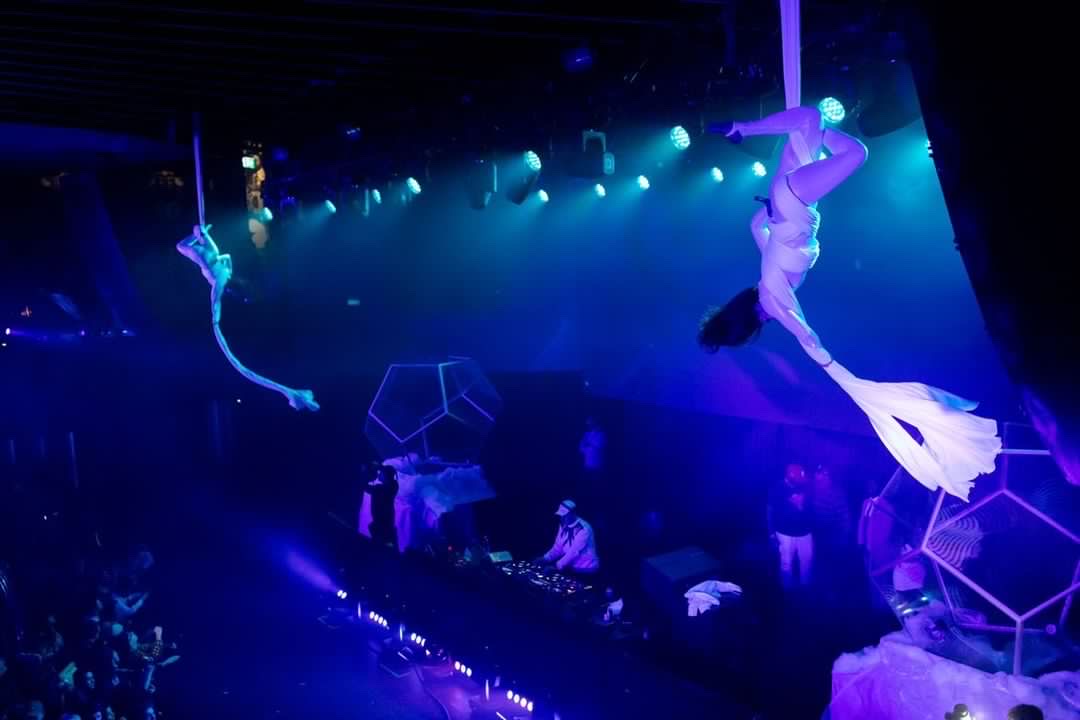Silk Aerialists